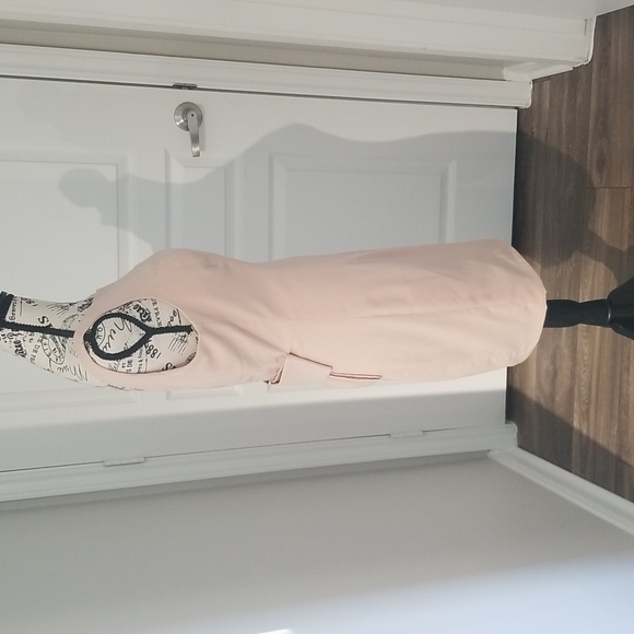 Blush Pink Sleeveless Dress Full Zipper Size Medium - Picture 5 of 6